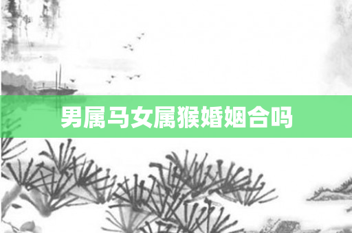 男属马女属猴婚姻合吗