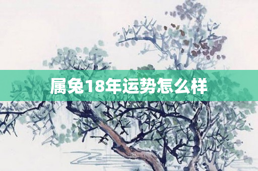 属兔18年运势怎么样