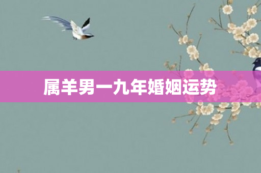 属羊男一九年婚姻运势
