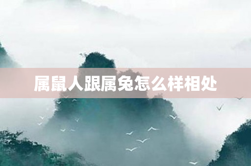 属鼠人跟属兔怎么样相处
