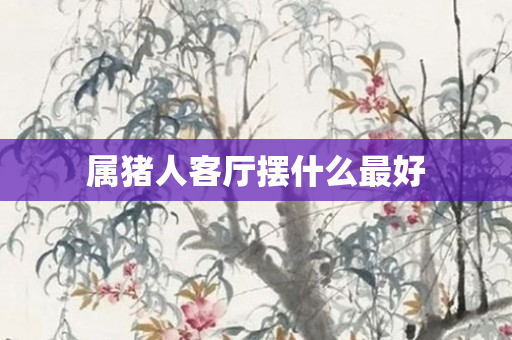 属猪人客厅摆什么更好