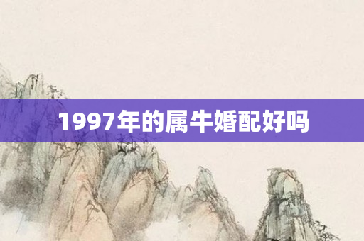 1997年的属牛婚配好吗
