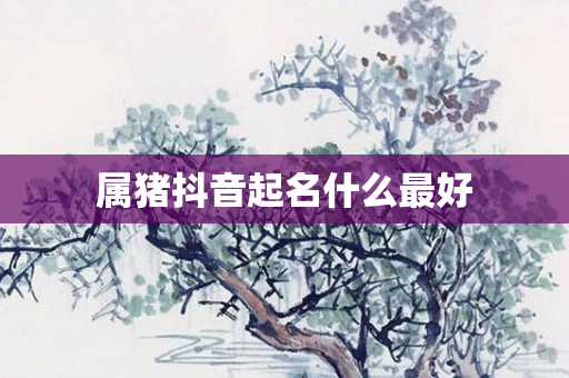 属猪抖音起名什么更好