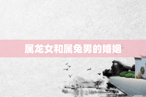 属龙女和属兔男的婚姻