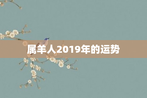 属羊人2019年的运势