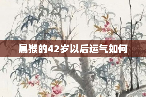 属猴的42岁以后运气如何