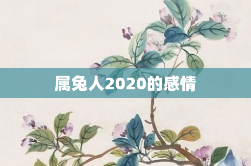 属兔人2020的感情