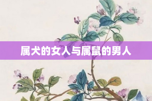 属犬的女人与属鼠的男人