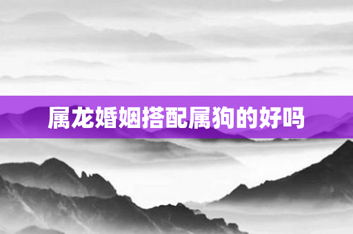 属龙婚姻搭配属狗的好吗