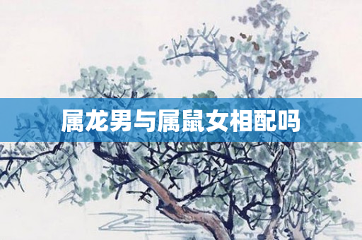 属龙男与属鼠女相配吗