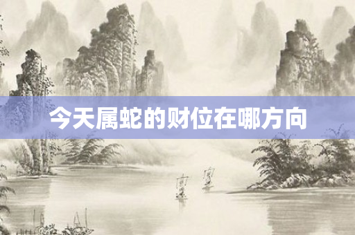 今天属蛇的财位在哪方向