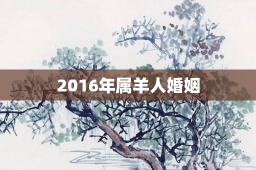 2016年属羊人婚姻