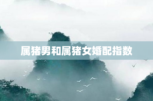 属猪男和属猪女婚配指数