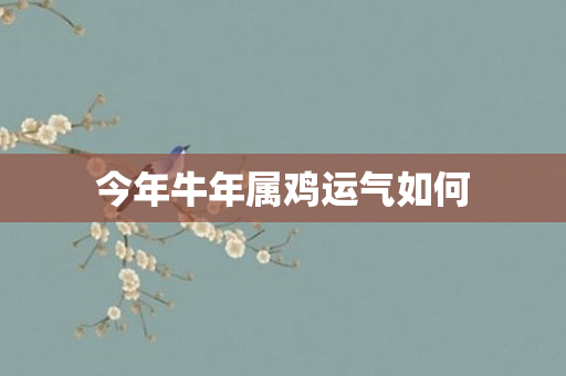 今年牛年属鸡运气如何