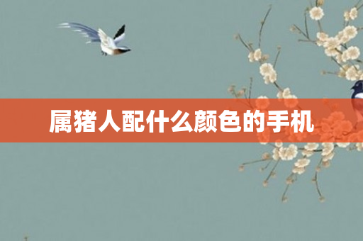 属猪人配什么颜色的手机