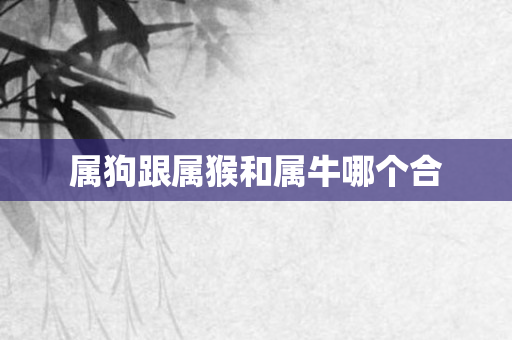 属狗跟属猴和属牛哪个合