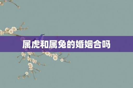 属虎和属兔的婚姻合吗