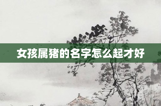 女孩属猪的名字怎么起才好