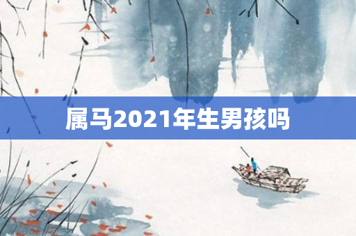 属马2021年生男孩吗