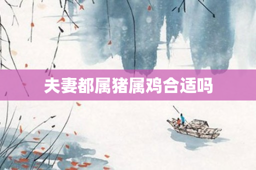 夫妻都属猪属鸡合适吗