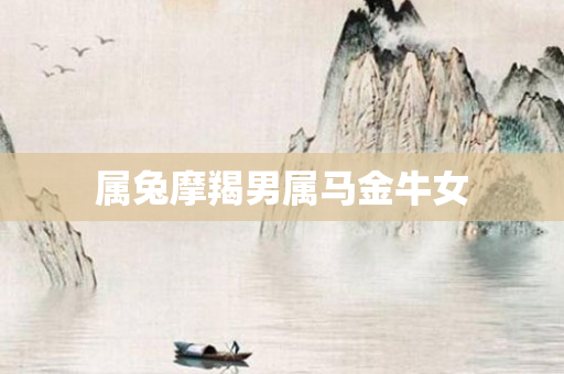属兔摩羯男属马金牛女