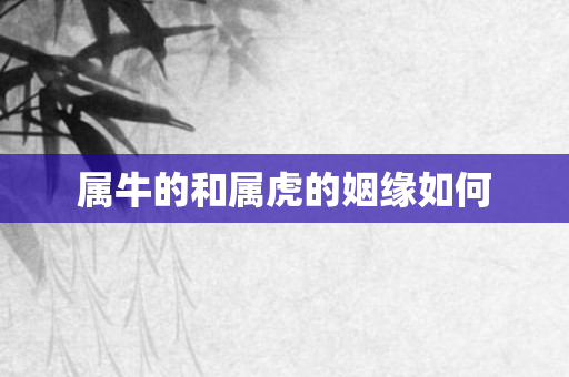 属牛的和属虎的姻缘如何