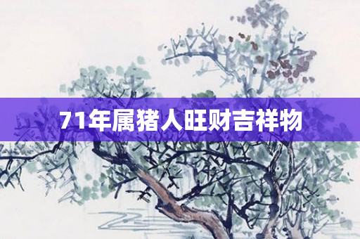 71年属猪人旺财吉祥物