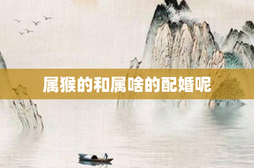 属猴的和属啥的配婚呢