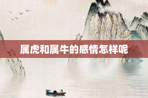 属虎和属牛的感情怎样呢