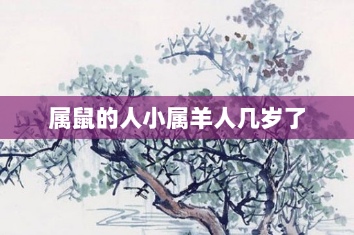 属鼠的人小属羊人几岁了