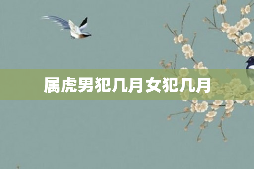 属虎男犯几月女犯几月