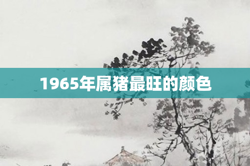 1965年属猪最旺的颜色
