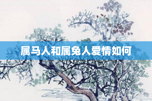 属马人和属兔人爱情如何