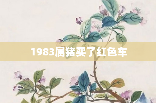 1983属猪买了红色车