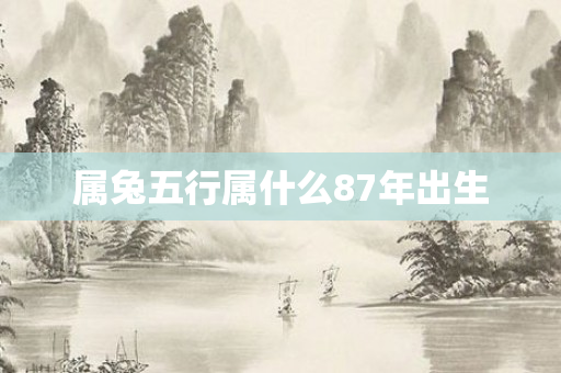 属兔五行属什么87年出生