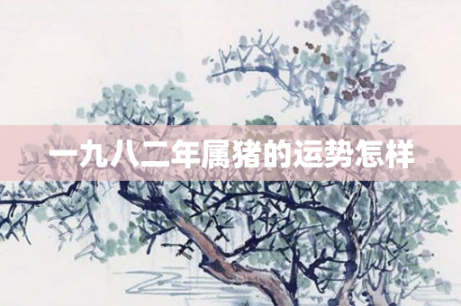 一九八二年属猪的运势怎样