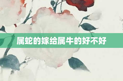 属蛇的嫁给属牛的好不好