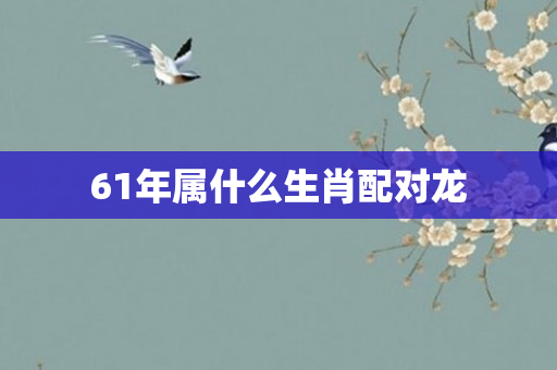 61年属什么生肖配对龙