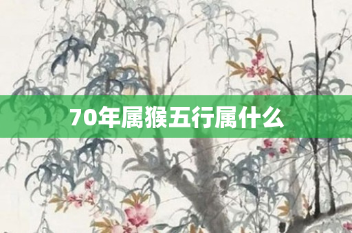 70年属猴五行属什么