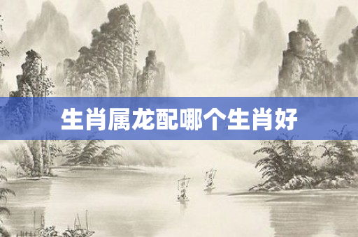 生肖属龙配哪个生肖好