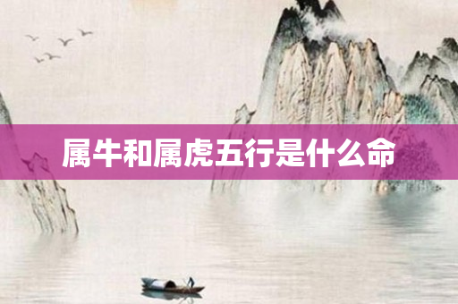 属牛和属虎五行是什么命