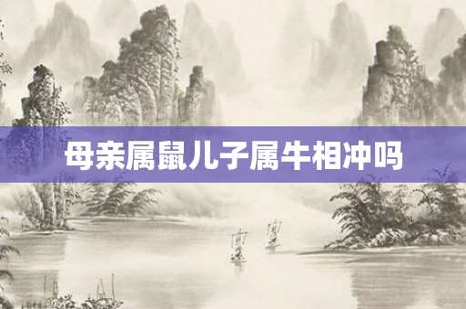 母亲属鼠儿子属牛相冲吗