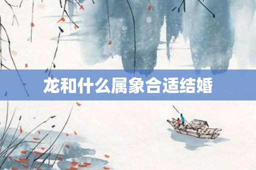 龙和什么属象合适结婚