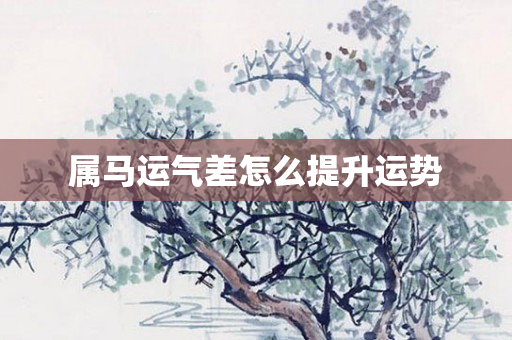 属马运气差怎么提升运势