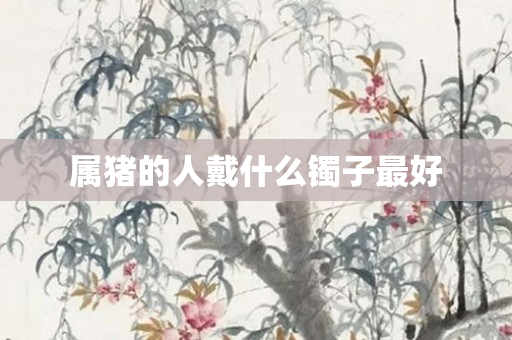属猪的人戴什么镯子更好