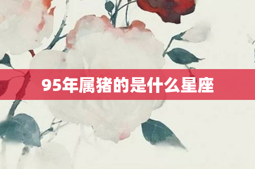 95年属猪的是什么星座