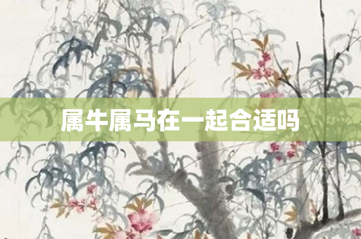 属牛属马在一起合适吗