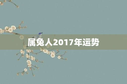 属兔人2017年运势