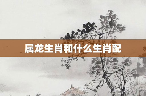属龙生肖和什么生肖配