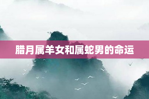 腊月属羊女和属蛇男的命运